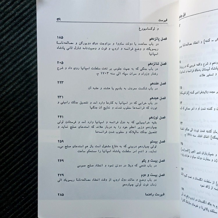 تاریخ لوئی چهاردهم، ولتر