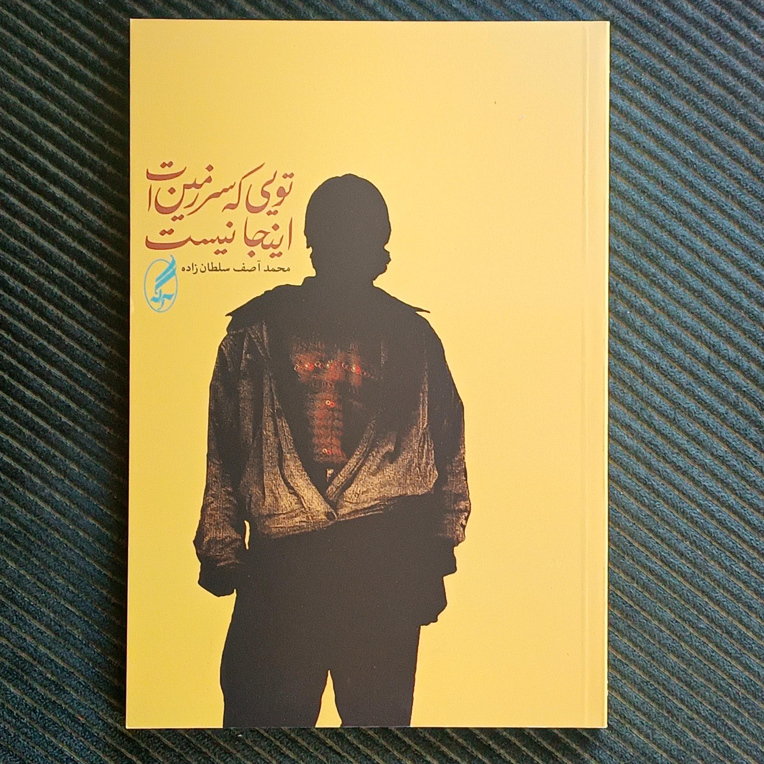 تویی که سرزمینت اینجا نیست، محمدآصف سلطان‌زاده