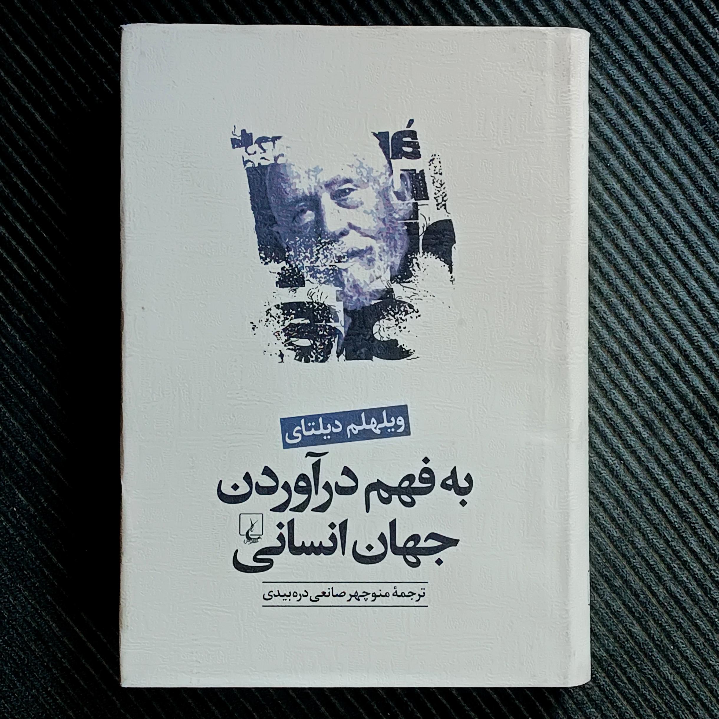 به فهم درآوردن جهان انسانی، ویلهلم دیلتای