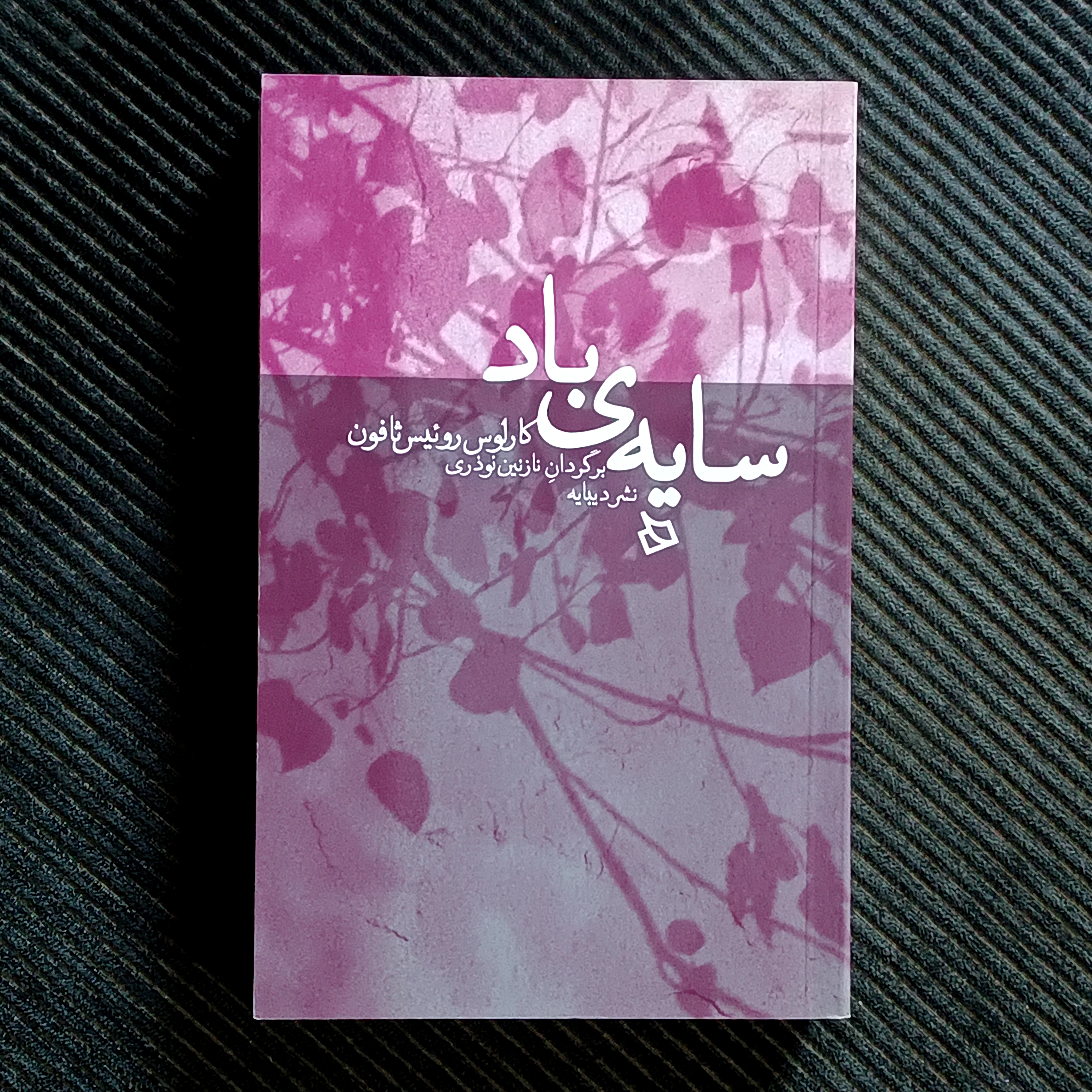سایه‌ی باد، کارلوس روئیس ثافون