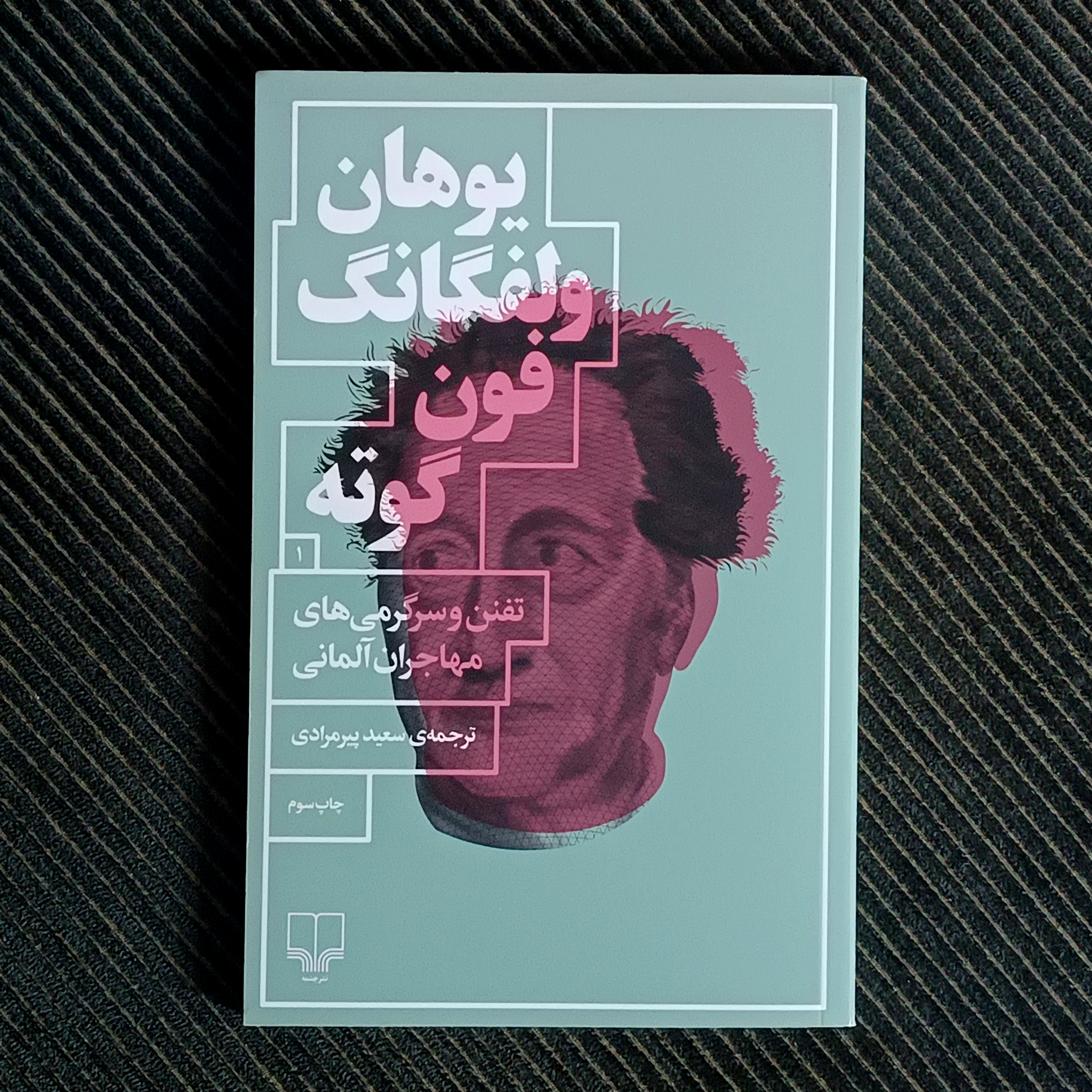 تفنن و سرگرمی‌های مهاجران آلمانی، یوهان ولفگانگ فون گوته
