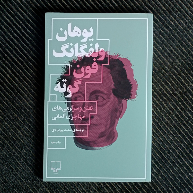 تفنن و سرگرمیهای مهاجران آلمانی، یوهان ولفگانگ فون گوته