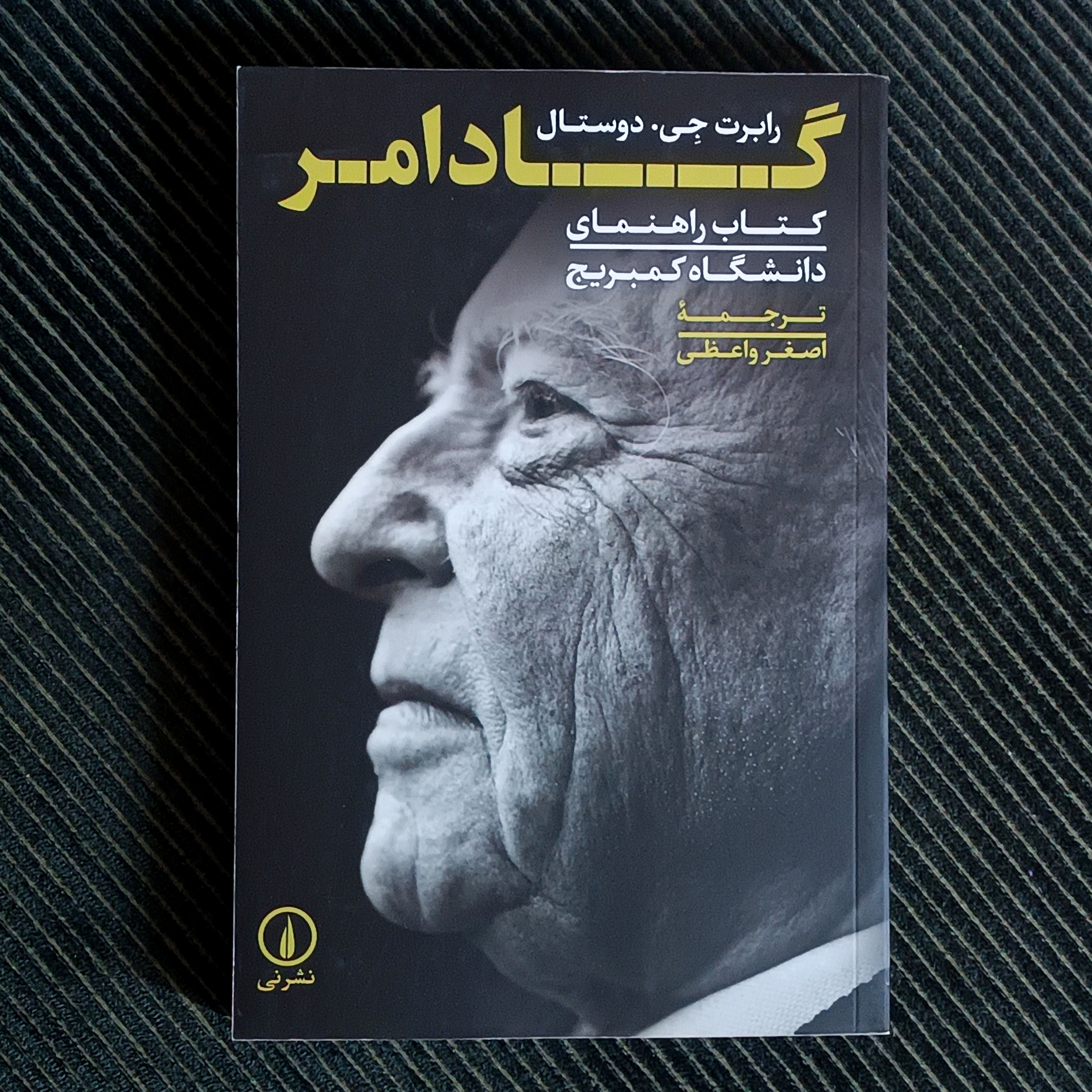 گادامر: کتاب راهنمای دانشگاه کمبریج، رابرت جی. دوستال