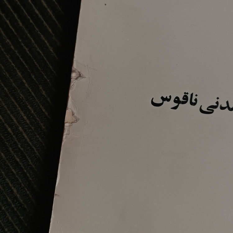 آوای خاموشنشدنی ناقوس، بارویر سواگ